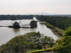 -大湾区中央湿地公园