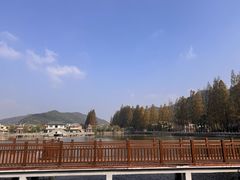 -黄贤森林公园