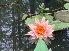 -艾溪湖湿地公园