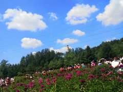 -黑龙江省森林植物园