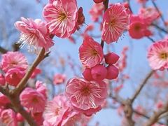 -玄武湖景区-情侣园游乐场