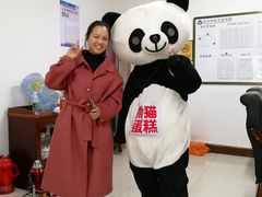 -熊猫不走蛋糕（同城送）(长沙店)