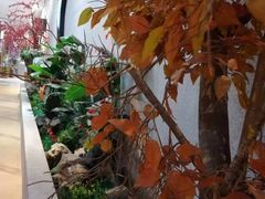 -丽池宫韩式汗蒸会馆(华灯坊店)