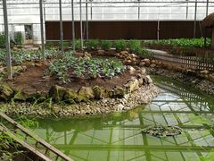 -上海都市菜园