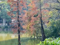 -人民公园(罗湖区)