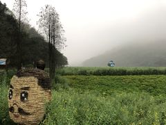 -广州市石门国家森林公园