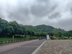 -立新湖公园