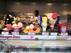 零售区-哈根达斯(美罗城店)