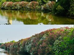 -艾溪湖湿地公园