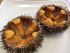 -海胆小馆(东北水饺·春柳店)