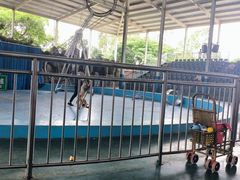 -泉州海丝野生动物世界