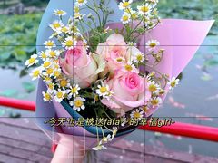 -鹅湖玫瑰文化园
