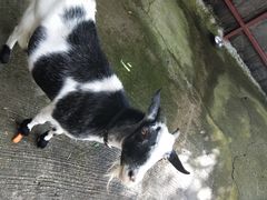 -太极禅苑