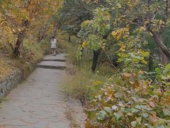 -香山公园