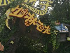 -郑州方特梦幻王国