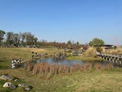 -桂溪生态公园