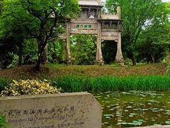 -西溪国家湿地公园