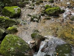 -牛背梁国家森林公园