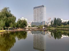 -雁滩公园