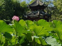 -房湖公园