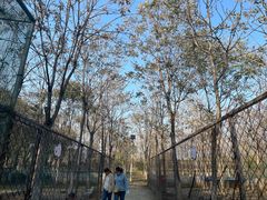 -草根堂农场