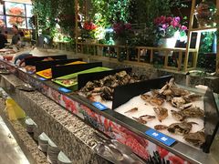 -梅园国际大酒店·自助餐厅(光明港店)
