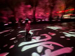 -南汇桃花村