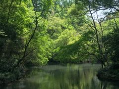 -西湖外事游船(花港观鱼码头)