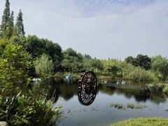 -长田漾湿地公园
