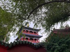-红山公园