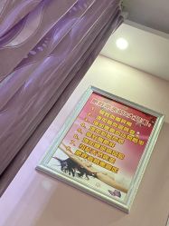 -香薇妮丝·定制减肥·身材管理