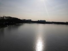 -大兴滨河森林公园