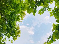 -永定河休闲森林公园