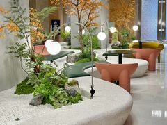 -帕帕拉兹宠物(亚洲旗舰店)