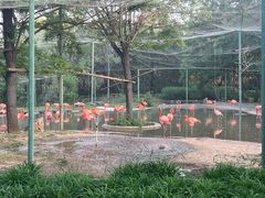 -石家庄市动物园