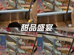 -巴黎贝甜(杨浦宝地店)