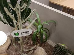 -隅乐胡椒虾·台湾菜·团建(皇岗店)