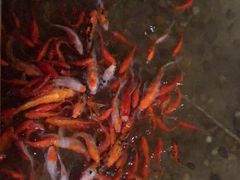 -苏浙徽·江南荟·本味融合菜(相城方圆里店)