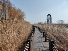 -苏州太湖湖滨国家湿地公园