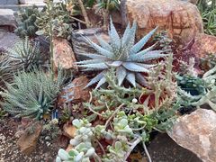 -国家植物园南园