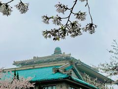 -武汉大学-樱园