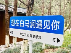 -白马涧龙池景区