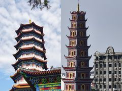 -越南街(万众国际批发市场店)