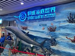 -聊城海底世界