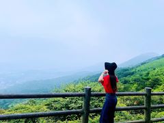 -大姆山草场