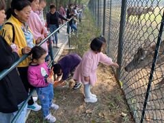 -北京麋鹿生态实验中心