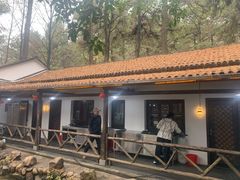 -小小饭店·休闲农庄·安吉松树林里的农家菜