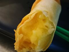 -都念榴莲·城市榴莲