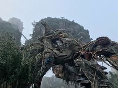 -奥兰多环球影城