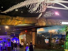 -华夏文旅海洋公园